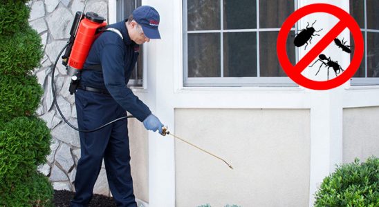 Mavişehir Böcek ve Haşere İlaçlama böcek ilaçlama ve haşere kontrolü — ilaclama-tr.com